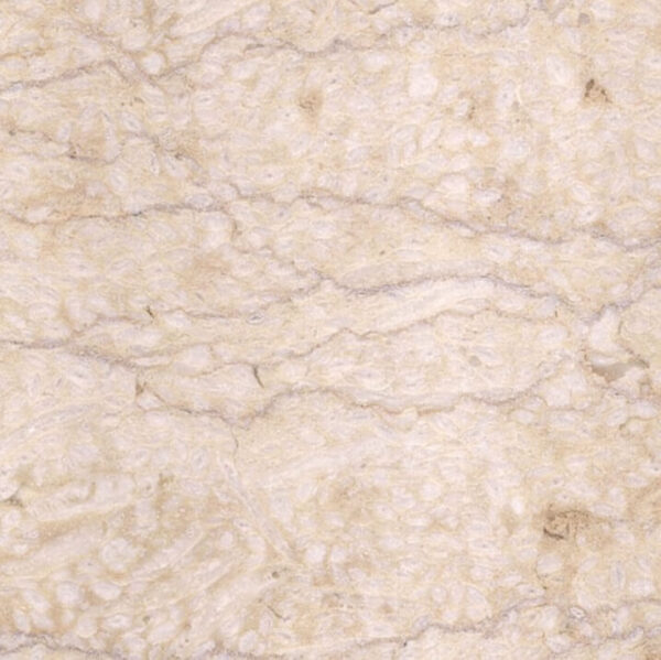 Silvia Marble